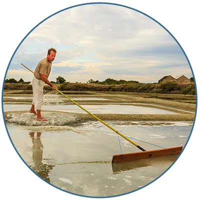Thierry Paludier a Trevaly 2 - Sel et Fleur de Sel de Guérande IGP