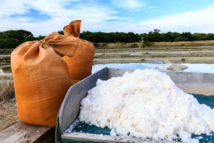 sac de fleur de sel - Sel et Fleur de Sel de Guérande IGP