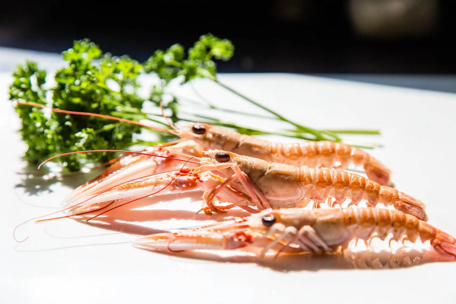 Langoustines au naturel